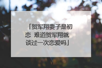 贺军翔妻子是初恋 难道贺军翔就谈过一次恋爱吗