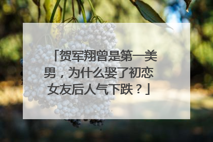 贺军翔曾是第一美男,为什么娶了初恋女友后人气下跌?