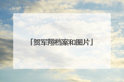 贺军翔档案和图片