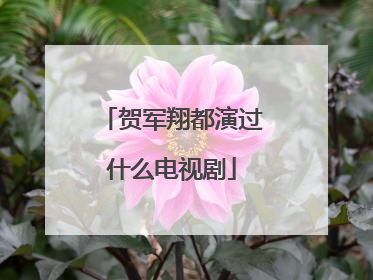 贺军翔都演过什么电视剧