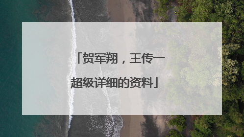 贺军翔，王传一超级详细的资料