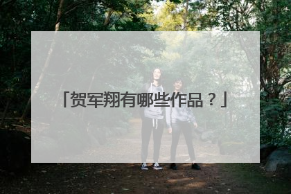 贺军翔有哪些作品？