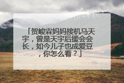贺峻霖妈妈接机马天宇,曾是天宇后援会会长,如今儿子也成爱豆,你怎么看?