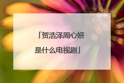 贺浩泽周心妍是什么电视剧