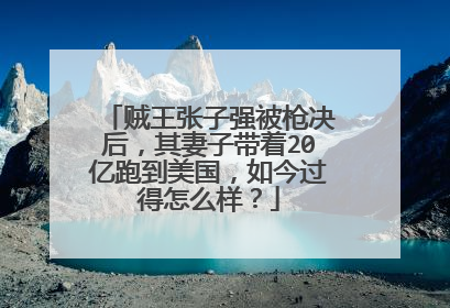 贼王张子强被枪决后，其妻子带着20亿跑到美国，如今过得怎么样？
