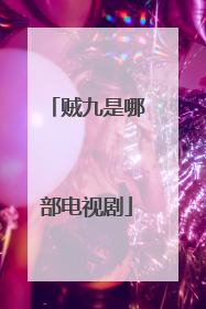 贼九是哪部电视剧