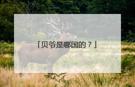 贝爷是哪国的？