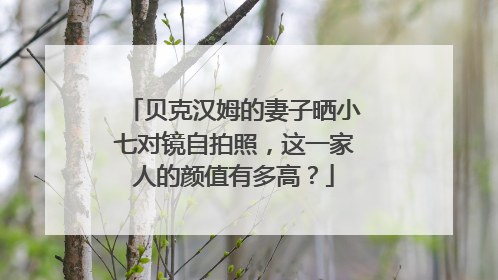 贝克汉姆的妻子晒小七对镜自拍照,这一家人的颜值有多高?