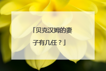 贝克汉姆的妻子有几任？