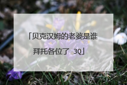 贝克汉姆的老婆是谁拜托各位了 3Q