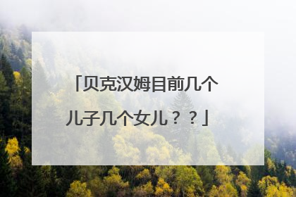 贝克汉姆目前几个儿子几个女儿？？