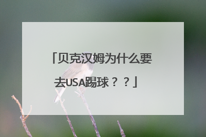 贝克汉姆为什么要去USA踢球？？