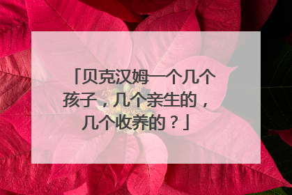 贝克汉姆一个几个孩子,几个亲生的,几个收养的?