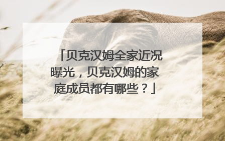 贝克汉姆全家近况曝光,贝克汉姆的家庭成员都有哪些?