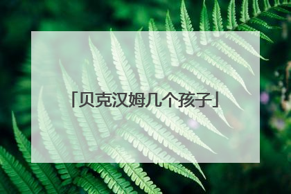 贝克汉姆几个孩子