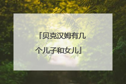 贝克汉姆有几个儿子和女儿