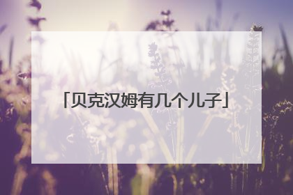贝克汉姆有几个儿子