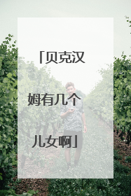 贝克汉姆有几个儿女啊