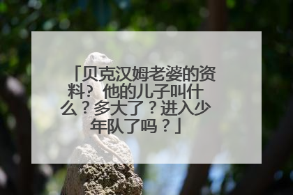 贝克汉姆老婆的资料? 他的儿子叫什么?多大了?进入少年队了吗?