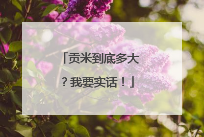 贡米到底多大？我要实话！