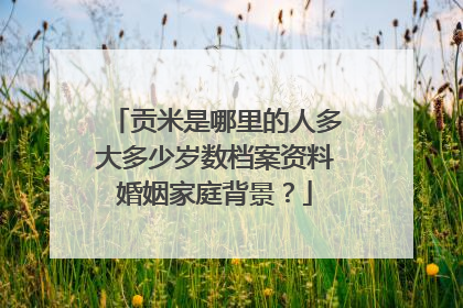 贡米是哪里的人多大多少岁数档案资料婚姻家庭背景?