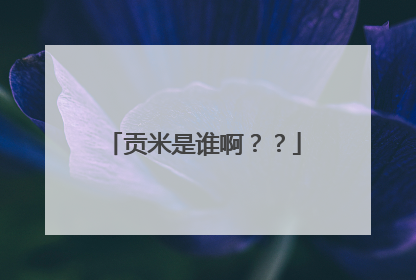 贡米是谁啊？？