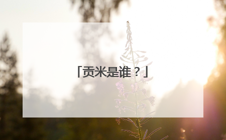 贡米是谁?