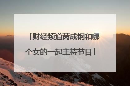 财经频道苪成钢和哪个女的一起主持节目