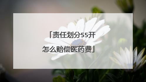 责任划分55开怎么赔偿医药费