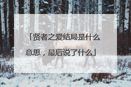 贤者之爱结局是什么意思，最后说了什么