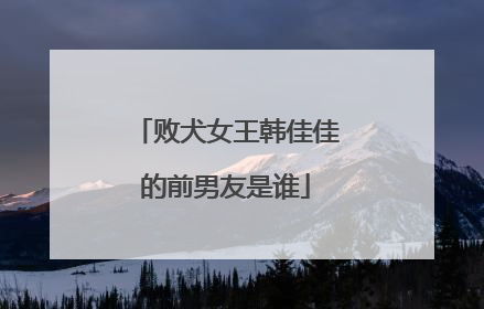 败犬女王韩佳佳的前男友是谁