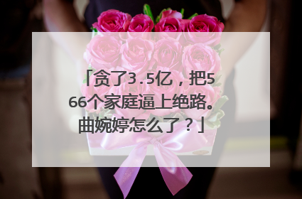 贪了3.5亿，把566个家庭逼上绝路。曲婉婷怎么了？