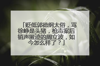 贬低郭德纲太俗,骂徐峥是头猪,枪毒案后销声匿迹的周立波,如今怎么样了?