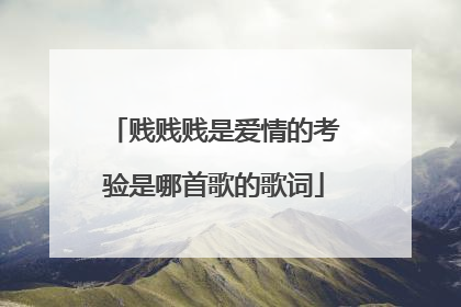 贱贱贱是爱情的考验是哪首歌的歌词
