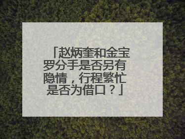 赵炳奎和金宝罗分手是否另有隐情,行程繁忙是否为借口?