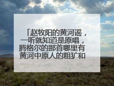 赵牧阳的黄河谣,一听就知道是原唱,腾格尔的那首哪里有黄河中原人的粗犷和深情~~~