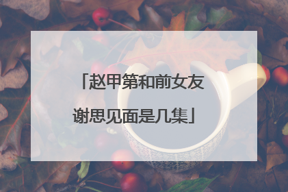 赵甲第和前女友谢思见面是几集