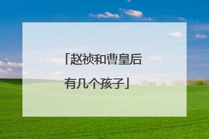 赵祯和曹皇后有几个孩子