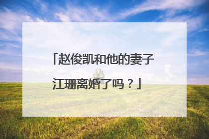 赵俊凯和他的妻子江珊离婚了吗？