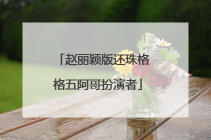 赵丽颖版还珠格格五阿哥扮演者