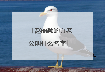 赵丽颖的真老公叫什么名字