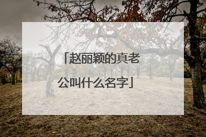 赵丽颖的真老公叫什么名字