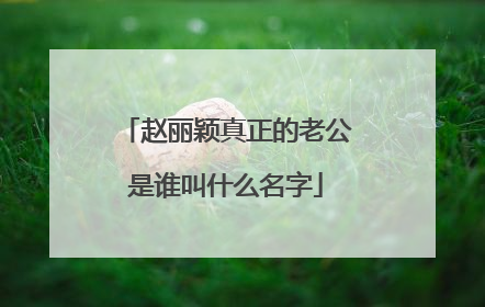 赵丽颖真正的老公是谁叫什么名字