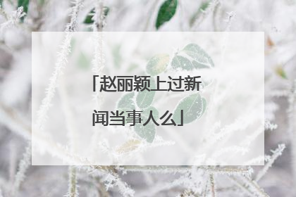 赵丽颖上过新闻当事人么