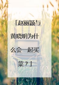赵丽颖与黄晓明为什么会一起买菜?