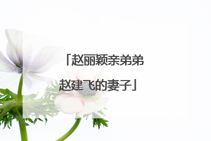 赵丽颖亲弟弟赵建飞的妻子