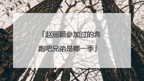 赵丽颖参加过的奔跑吧兄弟是哪一季