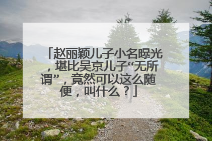 赵丽颖儿子小名曝光，堪比吴京儿子“无所谓”，竟然可以这么随便，叫什么？