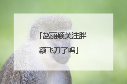 赵丽颖关注胖颖飞刀了吗