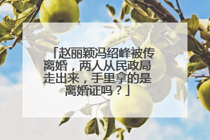 赵丽颖冯绍峰被传离婚，两人从民政局走出来，手里拿的是离婚证吗？